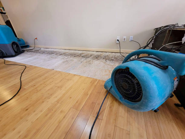 Professional Structural Drying technician working in Ketchum, OK